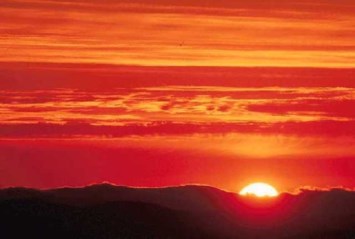 Obituary of Stephen Brent Shaw