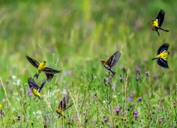 Obituary of John E. Wetzel