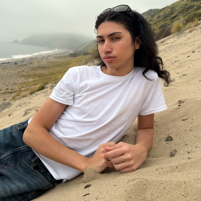 Obituary of Anoush Apfelthaler-Amir Mokri