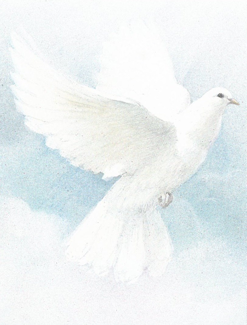 Doris Ann Smith Obituary Greenville, OH