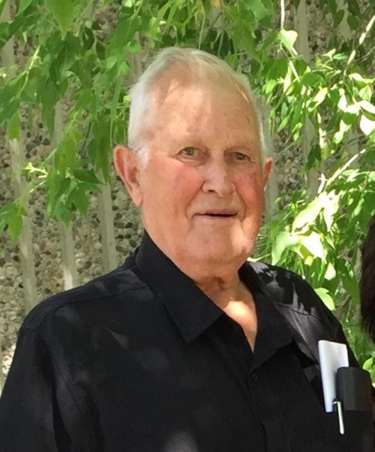 Obituary of Earl Joseph VanDeSype