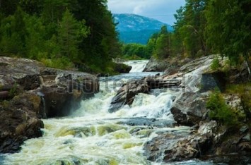 Obituary of Steven Nemeth