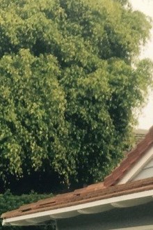 Ronald Michael Owens Obituary San Diego, CA