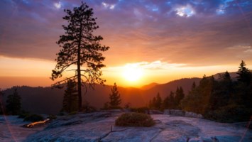 Obituary of Andrew Daniel Galvan