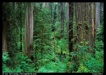 Obituary of James A. Perry
