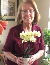 Obituary of Rosanne L. Delgado