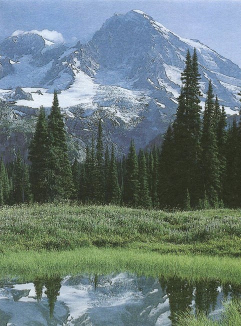 Obituary of Jerry Ross Hilton Jr.