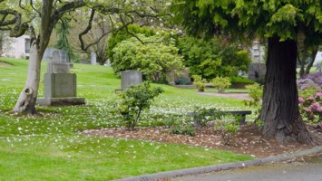 Obituary of Berry Bennett Nelson