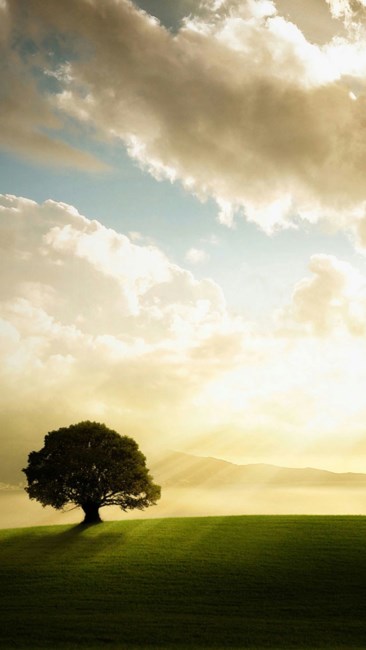 Obituary of Wah Chiu Chang