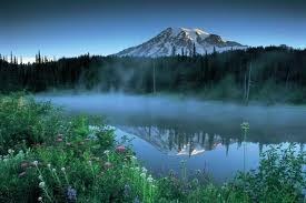 Obituary of Nicholas L. LeVoci