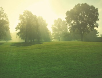 Obituary of William Albert Ross