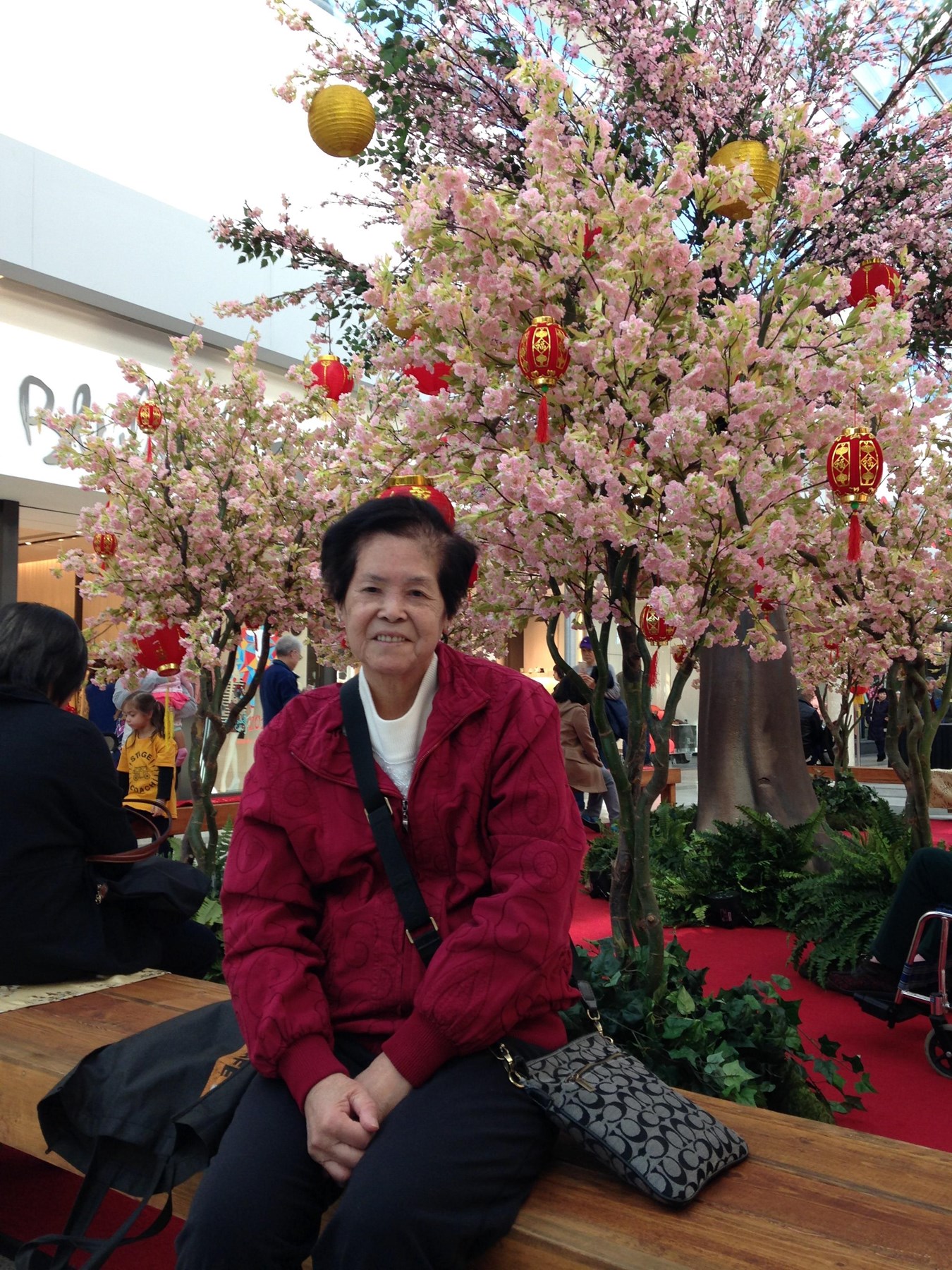 Obituary of 李黄少梨 Siu Lei (Lily) Lee