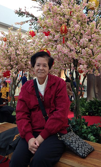 Obituary of 李黄少梨 Siu Lei (Lily) Lee