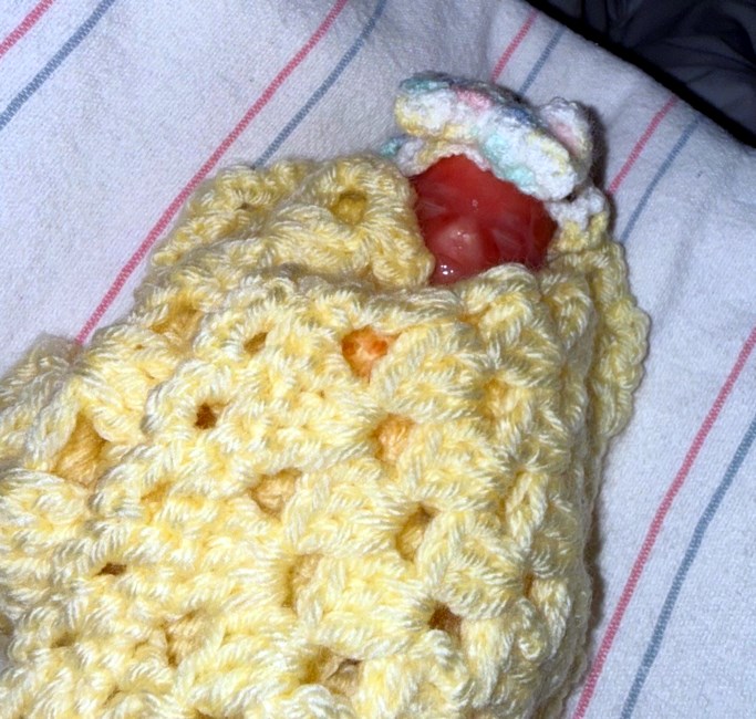 Obituary of Maisie Mae Evans