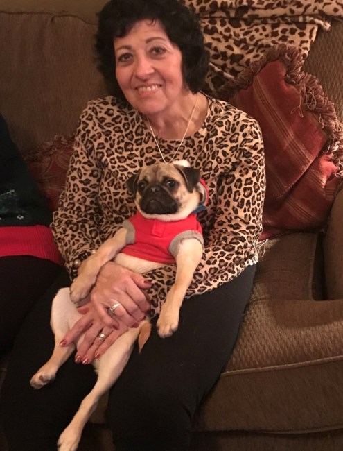 Obituary of Teresa Ann Struckel