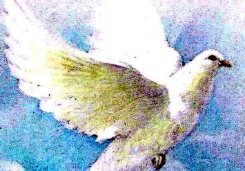 Obituary of Barry G. "Willie" Post