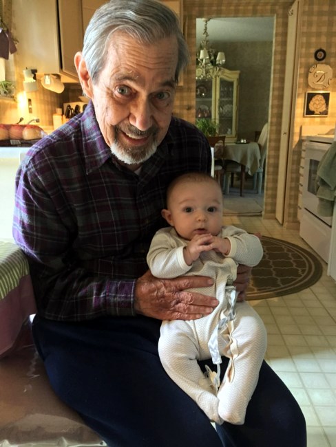 Obituary of Domenic L. DeMarte