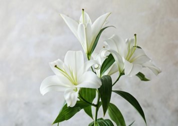 Obituary of Roger E Keller