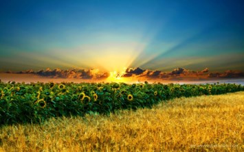 Obituary of Bryan Luis Munoz