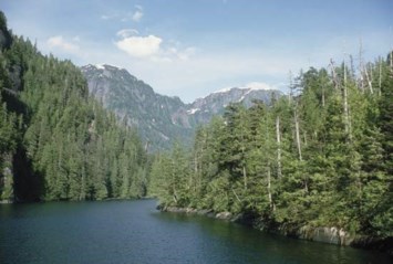 Avis de décès de Thomas Nolan