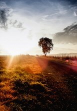 Obituary of Gayla Marie Vassos