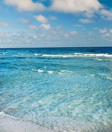 Obituary of Nan Bufogle