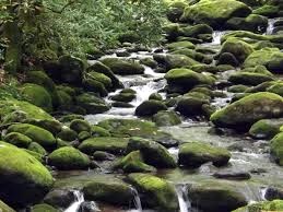 Obituary of Joseph A. Mele