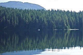 Obituary of Kelly Gene SUROWY