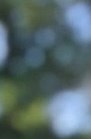 Patsy Smith Patsy Smith Obituary - Lancaster, OH