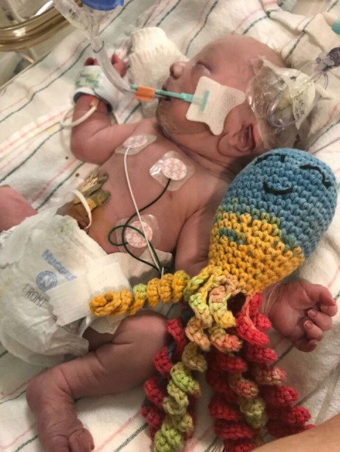 Obituary of Jaxxton Kyle Dean Stanley