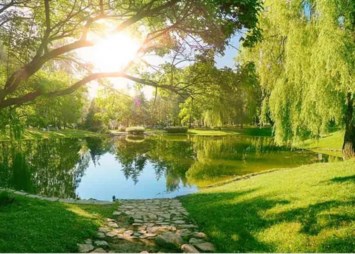 Obituary of Refugio Alvarado Sifuentes