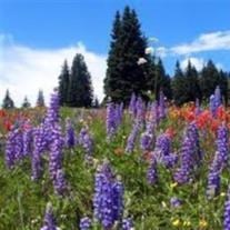 Obituary of Billie Marie Castle