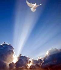 Obituary of Ute Salem