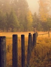 Obituary of James Benjamin Neely