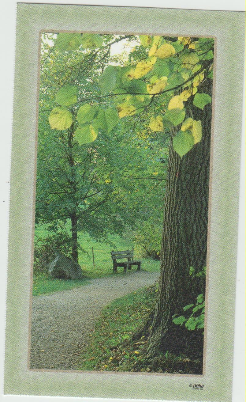 Obituary of Lorraine T. Davis