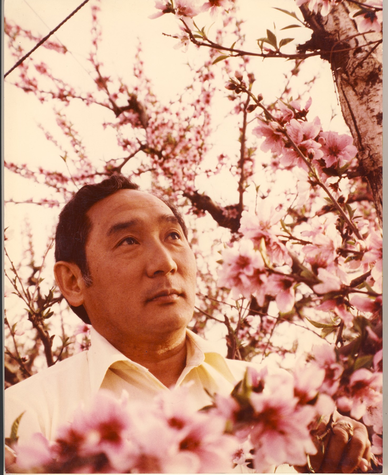 Avis de décès de Hiroaki Rocky Teranishi