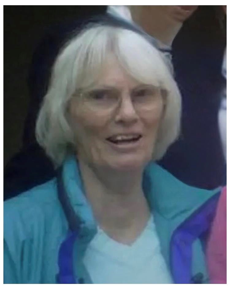 Obituary of Sue Ellen Demeter