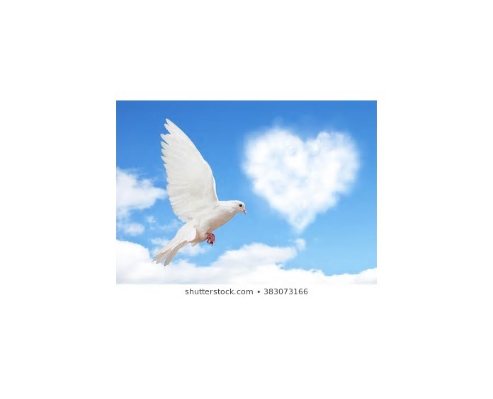 Obituary of Michelle Beatriz Serrano Olivar