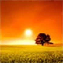 Obituary of Todd Gunton Alexander