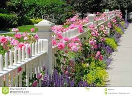 Obituary of Josephine Greco