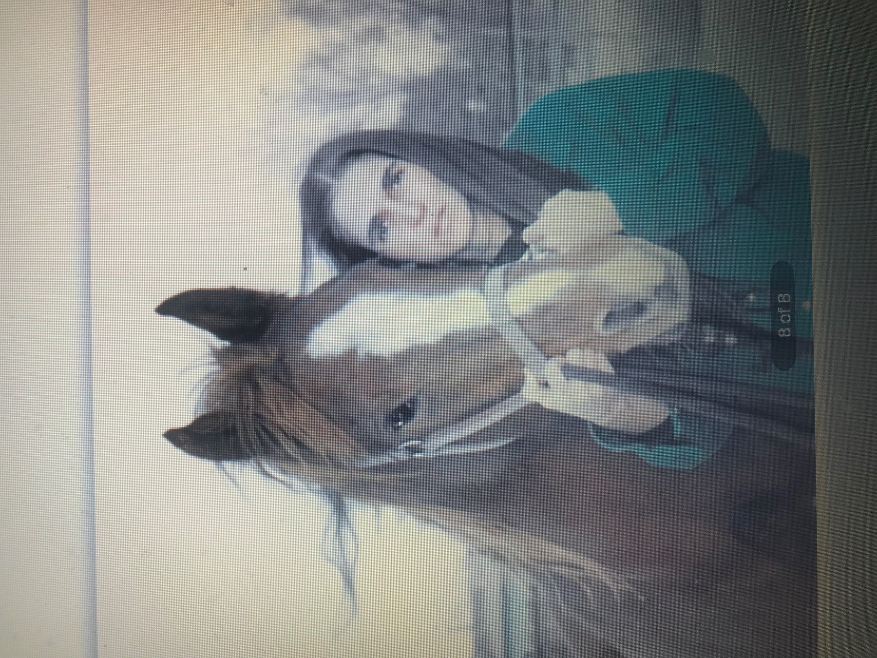 Obituary of Laurie Gaye Wooten