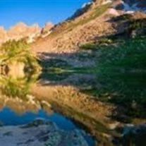 Obituary of Dale Kemp Perkins