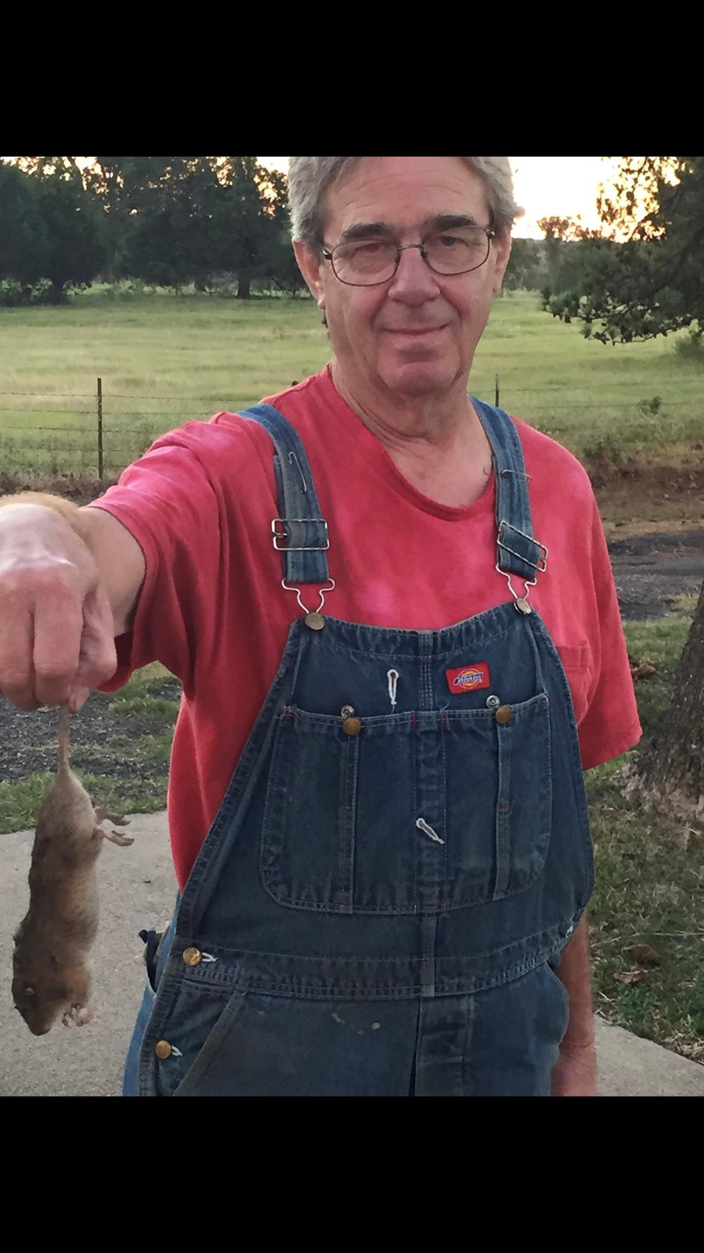 Obituary of Douglas Horton Chick