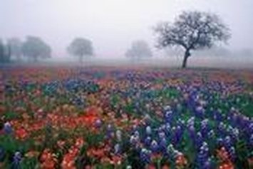 Avis de décès de Margaret Beryl Bowman