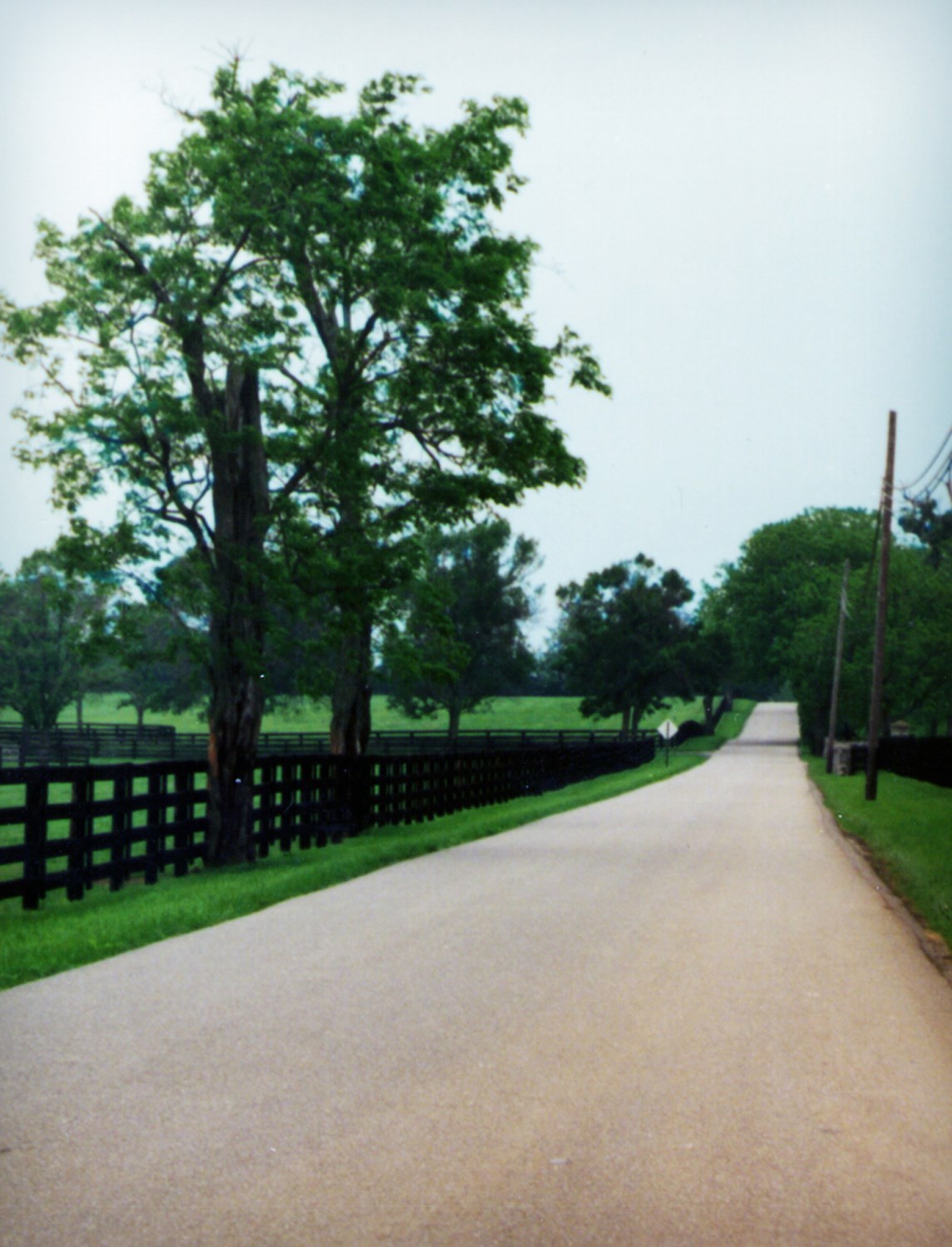 Obituary of Joseph Robert Eibner