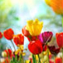 Obituary of Ruth Mae Carter