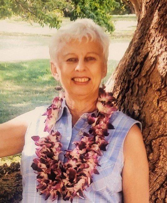 Obituary of Carol Ann Chelini