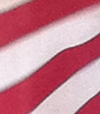 Rosehaven Funeral Home In Douglasville Rosehaven Funeral Home In Douglasville