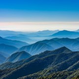 Obituary of Terry Wayne Hammonds