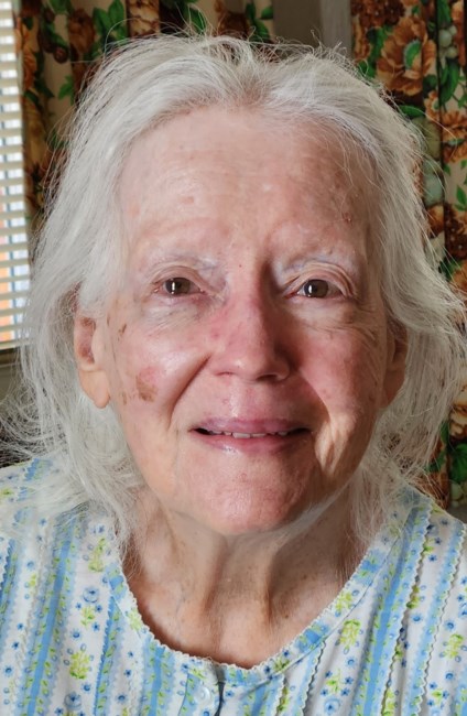 Obituary of Priscilla S. Freitas
